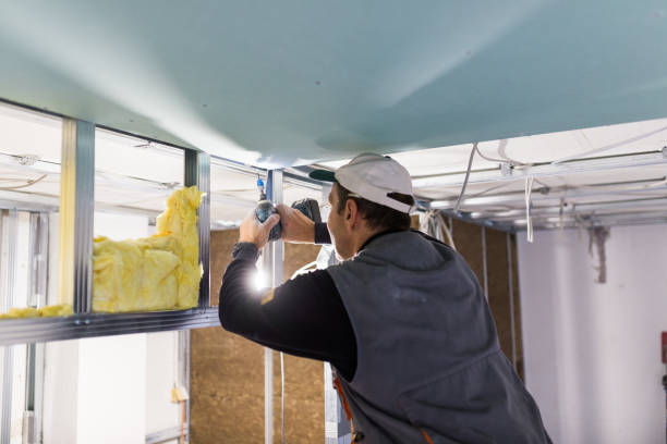 Best Garage Insulation Installation  in Hartsville, SC