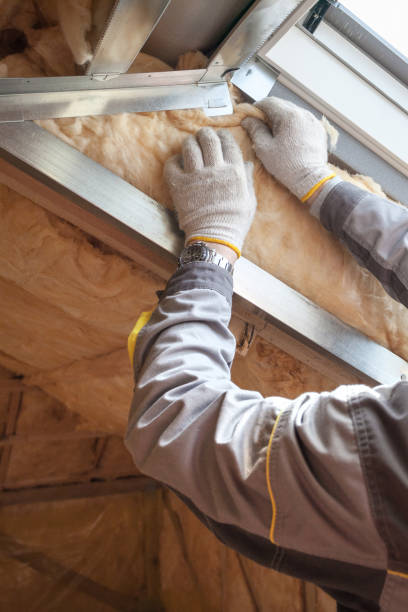 Best Insulation Replacement Services  in Hartsville, SC