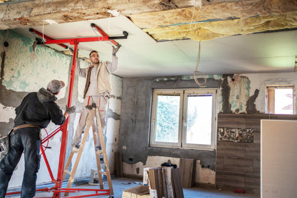 Best Wall Insulation Contractor  in Hartsville, SC