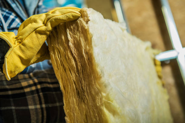 Best Home Insulation Services  in Hartsville, SC