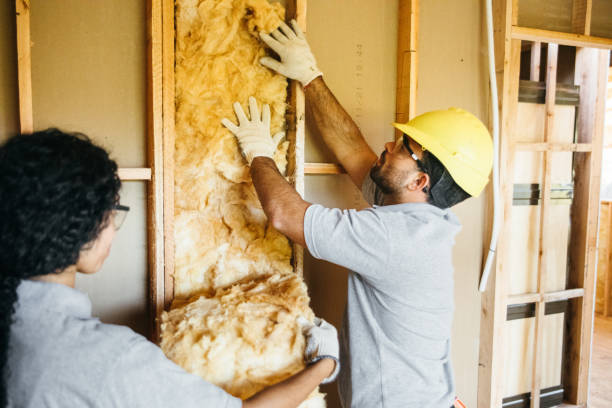 Best Cellulose Insulation  in Hartsville, SC