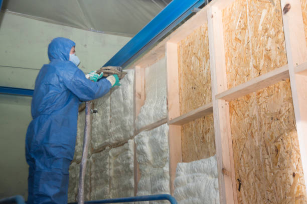 Best Insulation Contractors for Homes  in Hartsville, SC